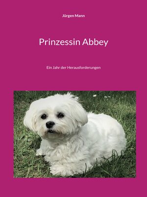 cover image of Prinzessin Abbey